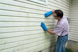 Best Siding for Commercial Buildings  in Chetek, WI